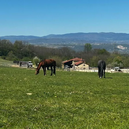 Les Coquelicots Διαμέρισμα Albon